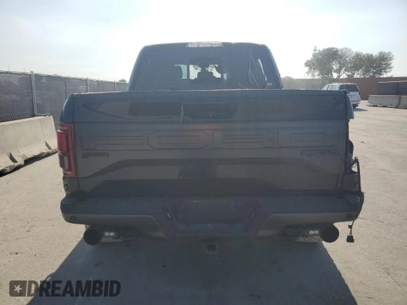 2017 Ford F-150 Raptor with VIN 1FTFW1RG2HFC18383, listed as a Copart auction lot 53520625 with 119,522 mi miles and Clean Title. Bid and sale history available at DreamBid. Image 6.