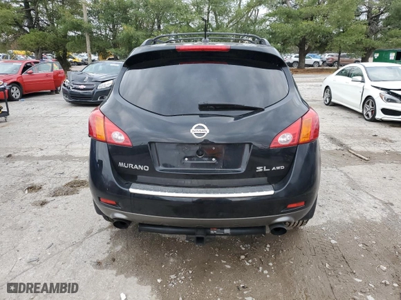 2010 Nissan Murano LE with VIN JN8AZ1MW0AW112136, listed as a Copart auction lot 84502904 with 176,023 mi miles and Clean Title. Bid and sale history available at carsss.com. Image 6.