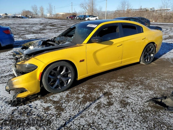 2017 Dodge Charger R/T with VIN 2C3CDXCT7HH623143, listed as a Copart auction lot 50664215 with Not Provided miles and Non Repairable. Bid and sale history available at DreamBid. Image 1.
