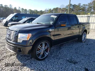 2010 Ford F-150 with VIN 1FTEW1CV6AFA09527, listed as a Copart auction lot 41410035 with 191,889 mi miles and Salvage title. Bid and sale history available at DreamBid. Image 1.