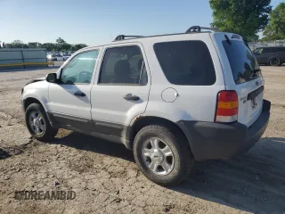 2004 Ford Escape XLT with VIN 1FMYU93104KA32047, listed as a Copart auction lot 61364985 with 160,822 mi miles and Salvage title. Bid and sale history available at DreamBid. Image 2.