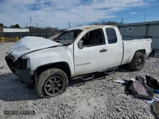 2009 Chevrolet Silverado 1500 Work Truck with VIN 1GCEK19069Z196320, listed as a Copart auction lot 46477195 with 0 mi miles and Salvage Title. Bid and sale history available at carsss.com. Image 1.