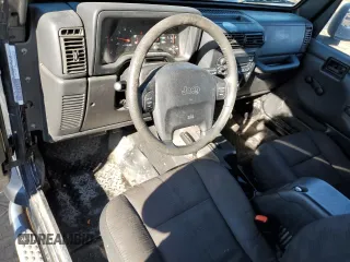 2003 Jeep Wrangler X with VIN 1J4FA39S33P357059, listed as a Copart auction lot 48983315 with 166,532 mi miles and Salvage title. Bid and sale history available at DreamBid. Image 8.