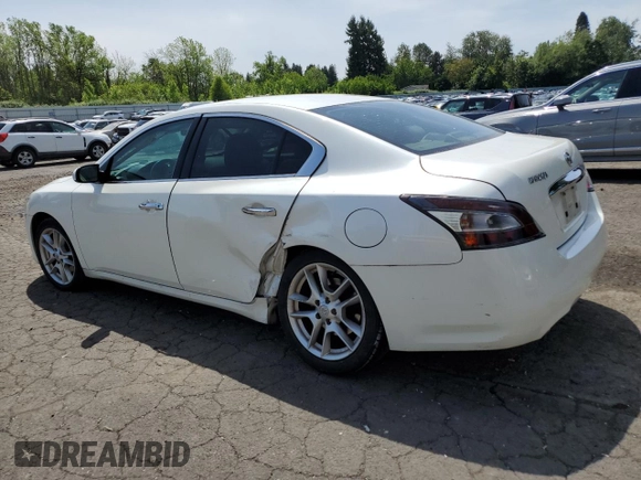 2013 Nissan Maxima S with VIN 1N4AA5AP5DC840795, listed as a Copart auction lot 57712115 with 187,516 mi miles and Salvage title. Bid and sale history available at DreamBid. Image 2.