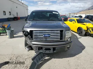 2012 Ford F-150 XL with VIN 1FTEW1CMXCFC00538, listed as a Copart auction lot 48563865 with 0 mi miles and Salvage Title. Bid and sale history available at carsss.com. Image 5.