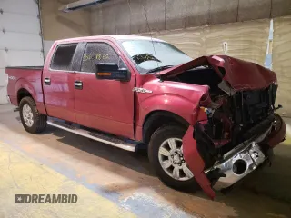 2010 Ford F-150 XL with VIN 1FTEW1E88AFD74475, listed as a Copart auction lot 33668862 with Not Provided miles and Salvage Title. Bid and sale history available at carsss.com. Image 1.