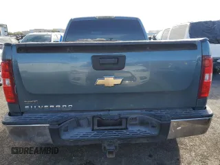 2010 Chevrolet Silverado 1500 LS with VIN 1GCSCREA0AZ176047, listed as a Copart auction lot 45425745 with 248,345 mi miles and Salvage Title. Bid and sale history available at carsss.com. Image 6.