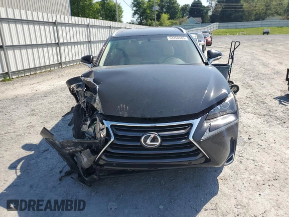 2017 Lexus NX 200t with VIN JTJYARBZ9H2059156, listed as a Copart auction lot 53250485 with 95,902 mi miles and Salvage Title. Bid and sale history available at DreamBid. Image 5.