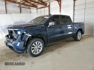 2019 Chevrolet Silverado 1500 Custom with VIN 3GCPYBEH9KG219832, listed as a Copart auction lot 49230885 with 102,272 mi miles and Salvage Title. Bid and sale history available at DreamBid. Image 1.