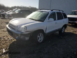 2005 Hyundai Santa Fe GLS with VIN KM8SC73DX5U916249, listed as a Copart auction lot 48339345 with 141,143 mi miles and Salvage Title. Bid and sale history available at carsss.com. Image 1.
