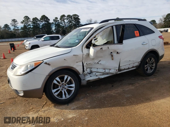 2012 Hyundai Veracruz Limited with VIN KM8NU4CC4CU182396, listed as a Copart auction lot 48029895 with Not Provided miles and Salvage Title. Bid and sale history available at DreamBid. Image 1.