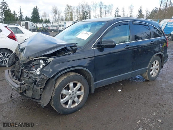 2007 Honda CR-V EX-L with VIN JHLRE48787C031669, listed as a IAAI auction lot 41939576 with 187,595 mi miles. Bid and sale history available at carsss.com. Image 17.