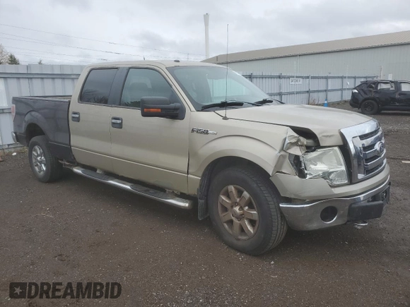 2009 Ford F-150 XL with VIN 1FTRW14869FA71127, listed as a Copart auction lot 81552544 with Not provided miles and Salvage title. Bid and sale history available at DreamBid. Image 4.