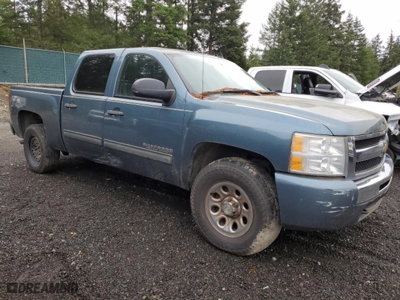2010 Chevrolet Silverado 1500 LS with VIN 3GCRKREA9AG217583, listed as a Copart auction lot 80737604 with 247,654 mi miles and Clean Title. Bid and sale history available at carsss.com. Image 4.
