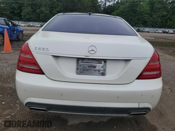 2010 Mercedes-Benz S 550 with VIN WDDNG7BB6AA332065, listed as a Copart auction lot 55071685 with 209,325 mi miles and Salvage Title. Bid and sale history available at DreamBid. Image 6.