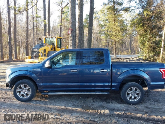 2017 Ford F-150 XL with VIN 1FTEW1CF0HFC11119, listed as a IAAI auction lot 41600880 with 118,466 mi miles. Bid and sale history available at carsss.com. Image 15.