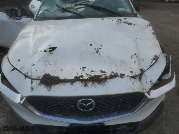 2023 Mazda CX-30 2.5 S Select Package with VIN 3MVDMBBM4PM575967, listed as a Copart auction lot 47648915 with 0 mi miles and Salvage Title. Bid and sale history available at carsss.com. Image 13.