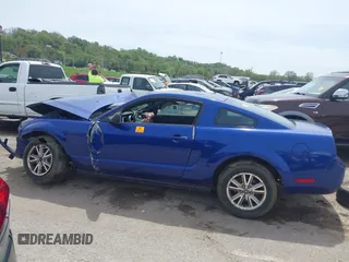 2005 Ford Mustang Deluxe with VIN 1ZVFT80N355159517, listed as a IAAI auction lot 42064180 with Not provided miles and . Bid and sale history available at DreamBid. Image 14.