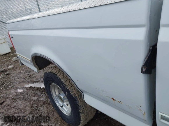 1995 Ford F-150 with VIN 1FTEX14N8SKB20438, listed as a IAAI auction lot 42048210 with 151,107 mi miles. Bid and sale history available at carsss.com. Image 6.