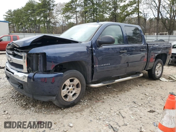2009 Chevrolet Silverado 1500 LT with VIN 3GCEC23J19G183009, listed as a Copart auction lot 49624495 with 159,887 mi miles and Salvage Title. Bid and sale history available at carsss.com. Image 1.