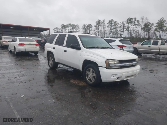 2008 Chevrolet TrailBlazer LT w/1LT with VIN 1GNDS13S582141510, listed as a IAAI auction lot 41306128 with 168,745 mi miles. Bid and sale history available at carsss.com. Image 1.