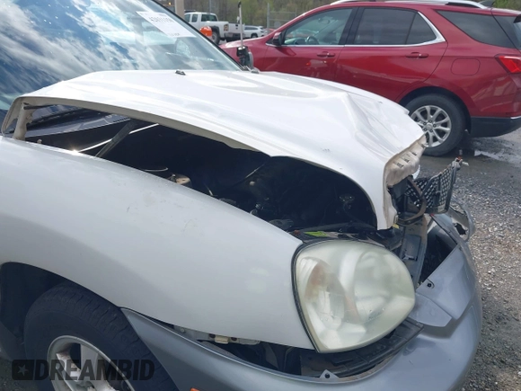 2004 Hyundai Santa Fe GLS with VIN KM8SC73D04U848820, listed as a IAAI auction lot 42031150 with 203,829 mi miles and . Bid and sale history available at DreamBid. Image 17.