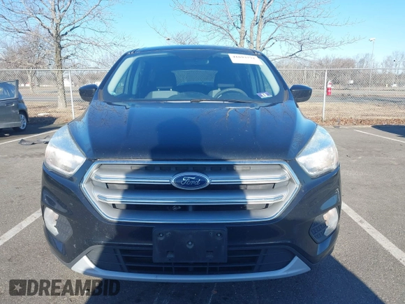 2017 Ford Escape SE with VIN 1FMCU0GD8HUE44687, listed as a IAAI auction lot 41693772 with 132,701 mi miles. Bid and sale history available at carsss.com. Image 12.