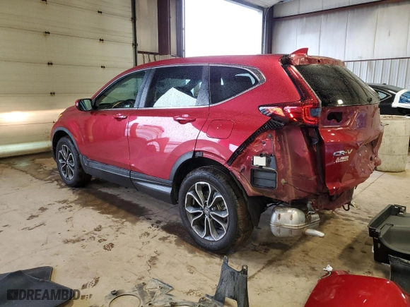 2020 Honda CR-V EX with VIN 5J6RW2H55LA013983, listed as a Copart auction lot 50498355 with 38,644 mi miles and Salvage Title. Bid and sale history available at carsss.com. Image 2.