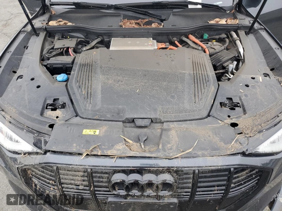2022 Audi e-tron Premium Plus with VIN WA1LABGEXNB032371, listed as a Copart auction lot 81753974 with Not provided miles and Salvage title. Bid and sale history available at DreamBid. Image 13.