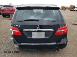 2013 Mercedes-Benz B 250 Sports Tourer with VIN WDDMH4EB1DJ148918, listed as a Copart auction lot 76547504 with Not Provided miles and Non Repairable. Bid and sale history available at DreamBid. Image 6.
