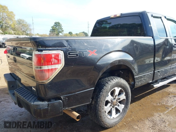 2013 Ford F-150 XL with VIN 1FTFX1CF5DFE02000, listed as a IAAI auction lot 41864702 with 185,992 mi miles. Bid and sale history available at carsss.com. Image 6.