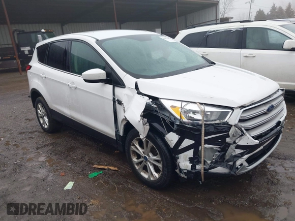 2019 Ford Escape SE with VIN 1FMCU0GD2KUC21987, listed as a IAAI auction lot 41463458 with 98,983 mi miles. Bid and sale history available at carsss.com. Image 1.