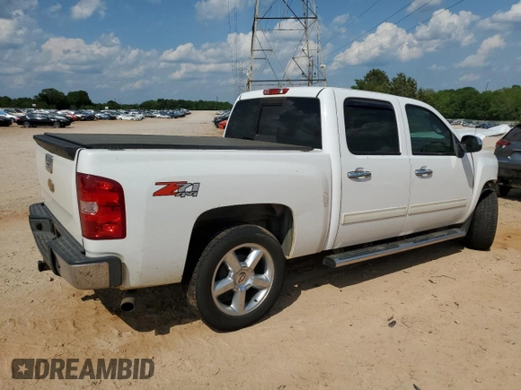 2013 Chevrolet Silverado 1500 LT with VIN 3GCPKSE72DG281861, listed as a Copart auction lot 55227385 with 253,170 mi miles and Salvage Title. Bid and sale history available at DreamBid. Image 3.
