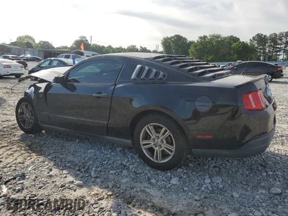 2010 Ford Mustang V6 with VIN 1ZVBP8AN9A5181890, listed as a Copart auction lot 55885715 with 160,456 mi miles and Salvage title. Bid and sale history available at DreamBid. Image 2.