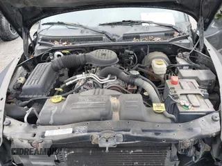 2000 Dodge Dakota with VIN 1B7GL22X2YS763505, listed as a IAAI auction lot 42608242 with 131,159 mi miles and . Bid and sale history available at DreamBid. Image 10.