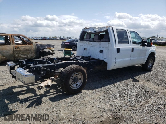 2012 Ford F-250 XL with VIN 1FT7W2AT1CEC57483, listed as a Copart auction lot 51013205 with Not provided miles and Salvage title. Bid and sale history available at DreamBid. Image 3.