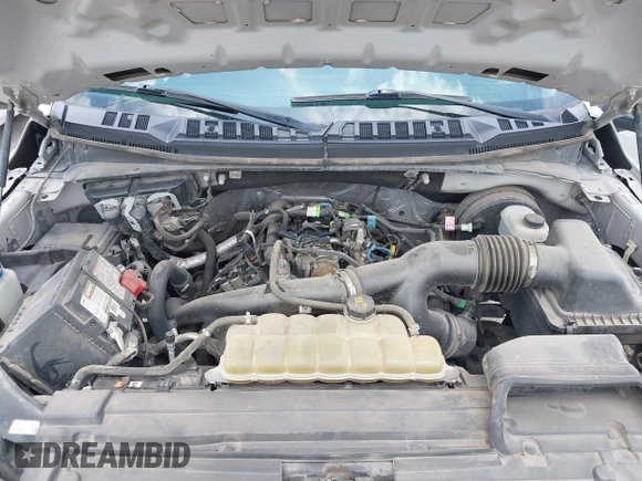 2019 Ford F-150 XL with VIN 1FTEW1CPXKKC96722, listed as a IAAI auction lot 42099029 with 155,694 mi miles and . Bid and sale history available at DreamBid. Image 10.