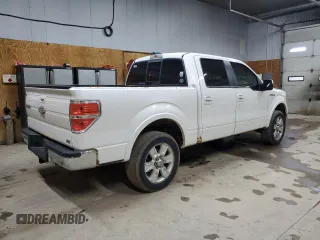 2010 Ford F-150 XL with VIN 1FTFW1EV1AFC96308, listed as a Copart auction lot 61661115 with 226,594 mi miles and Clean title. Bid and sale history available at DreamBid. Image 3.