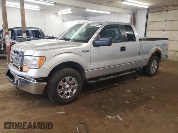 2013 Ford F-150 XL with VIN 1FTFX1EF1DFA81215, listed as a Copart auction lot 63077885 with 300,634 mi miles and Non repairable. Bid and sale history available at DreamBid. Image 1.