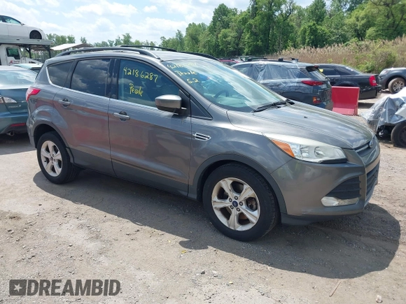2014 Ford Escape SE with VIN 1FMCU0G98EUB23109, listed as a IAAI auction lot 42186287 with 134,793 mi miles. Bid and sale history available at carsss.com. Image 1.