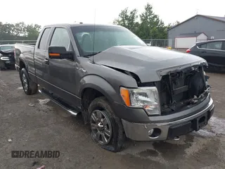 2010 Ford F-150 XL with VIN 1FTEX1E83AFD64062, listed as a IAAI auction lot 42550600 with 135,059 mi miles and . Bid and sale history available at DreamBid. Image 1.