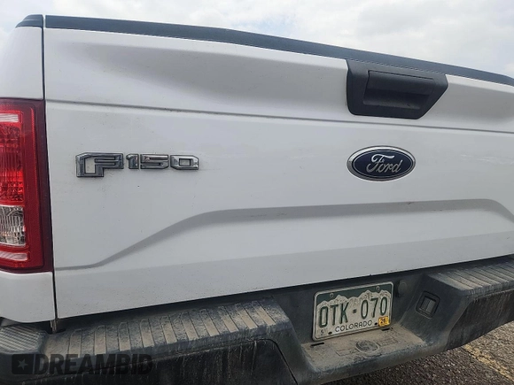 2017 Ford F-150 XL with VIN 1FTEX1E82HKD27618, listed as a IAAI auction lot 42796140 with 124,457 mi miles and . Bid and sale history available at DreamBid. Image 15.