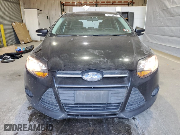 2013 Ford Focus SE with VIN 1FADP3K20DL257795, listed as a Copart auction lot 50737705 with 316,345 mi miles and Salvage Title. Bid and sale history available at DreamBid. Image 5.