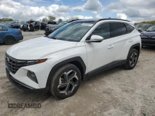 2023 Hyundai Tucson Limited with VIN 5NMJECAE6PH249379, listed as a Copart auction lot 56233675 with Not provided miles and Salvage title. Bid and sale history available at DreamBid. Image 1.