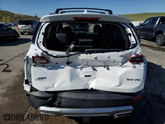 2021 Kia Telluride SX with VIN 5XYP5DHC9MG134835, listed as a Copart auction lot 54540655 with 64,583 mi miles and Salvage Title. Bid and sale history available at carsss.com. Image 6.