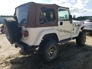 2001 Jeep Wrangler Sahara with VIN 1J4FA59SX1P338887, listed as a Copart auction lot 72835514 with 0 mi miles and Salvage Title. Bid and sale history available at carsss.com. Image 3.