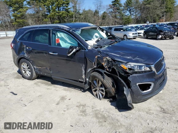 2017 Kia Sorento LX with VIN 5XYPGDA3XHG288867, listed as a Copart auction lot 49844105 with 0 mi miles and Salvage Title. Bid and sale history available at carsss.com. Image 4.