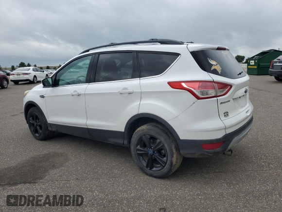 2013 Ford Escape SE with VIN 1FMCU9GX6DUD15646, listed as a Copart auction lot 59351195 with 185,667 mi miles and Salvage title. Bid and sale history available at DreamBid. Image 2.