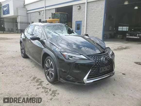 2022 Lexus UX 200 with VIN JTHX3JBH2N2050696, listed as a Copart auction lot 55606485 with 52,661 mi miles and Salvage title. Bid and sale history available at DreamBid. Image 14.