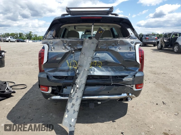 2020 Hyundai Palisade Limited with VIN KM8R5DHE4LU124555, listed as a Copart auction lot 58223205 with 69,385 mi miles and Salvage title. Bid and sale history available at DreamBid. Image 6.